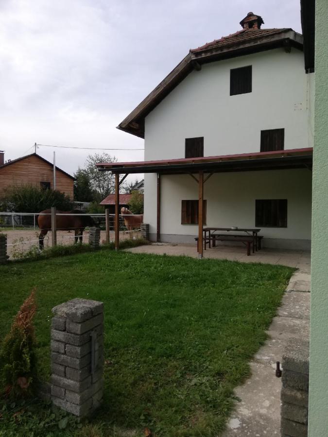 Ferienwohnung Schmied 1 Aurach am Hongar Exterior foto